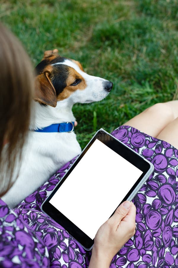 Woman on grass with tablet royalty free stock images