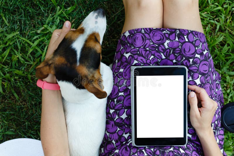 Woman on grass with tablet royalty free stock photo