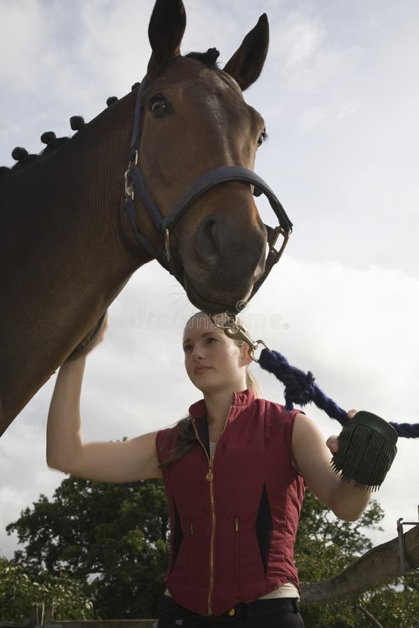 Person Grooming Horse Picture. Image 84909124