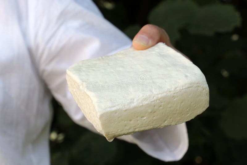 woman hadn holding block of sheep cheese