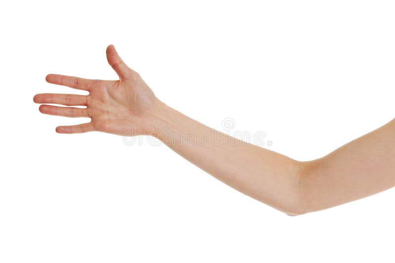 Woman hand. stock image