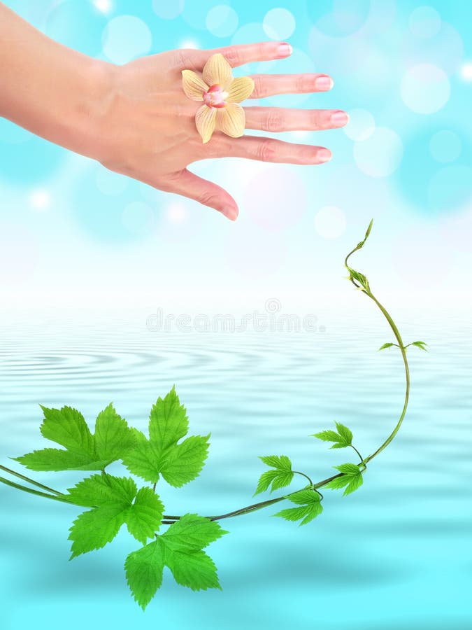 Woman hand above water level