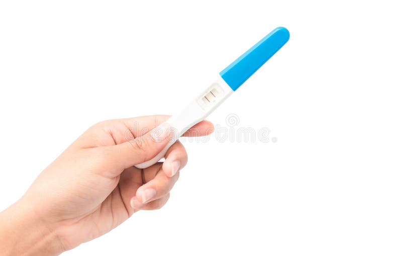 Woman Hand Holding Pregnancy Test with White Stock Photo Image of