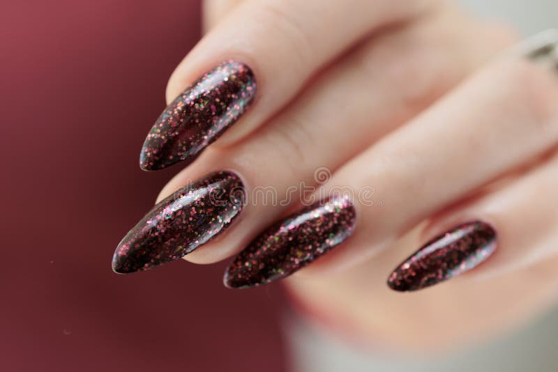 Woman Hand with Long Nails and a Dark Red Burgundy Nail Polish Stock Photo  - Image of maroon, femininity: 257745488