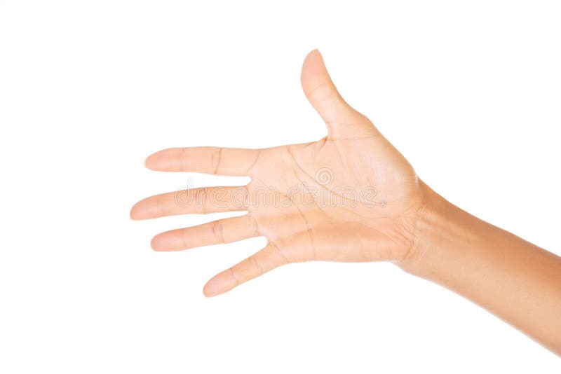 Woman hand (palm) royalty free stock photo