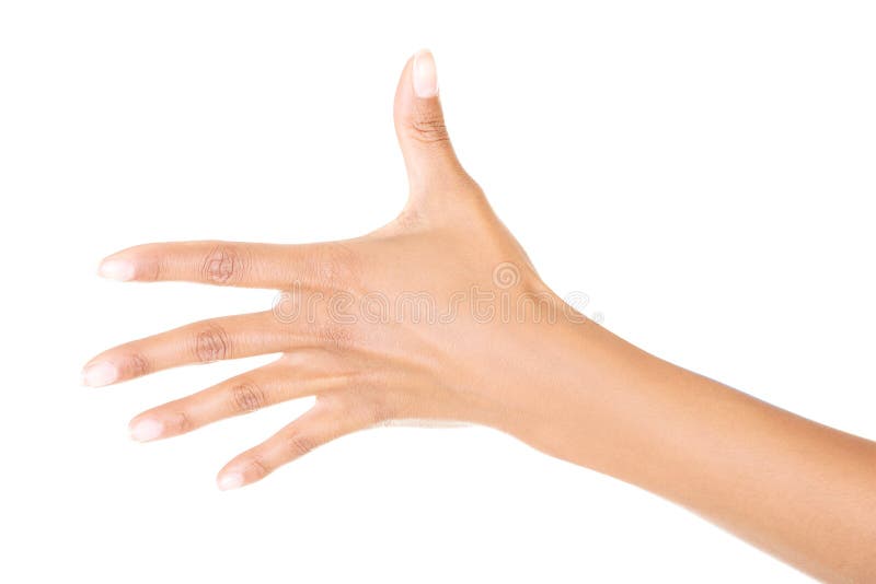 Woman hand (palm) royalty free stock photos