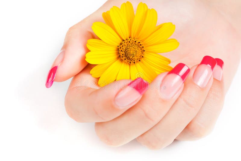 Woman hand with pink manicure