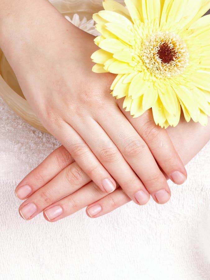 Woman hands royalty free stock photo