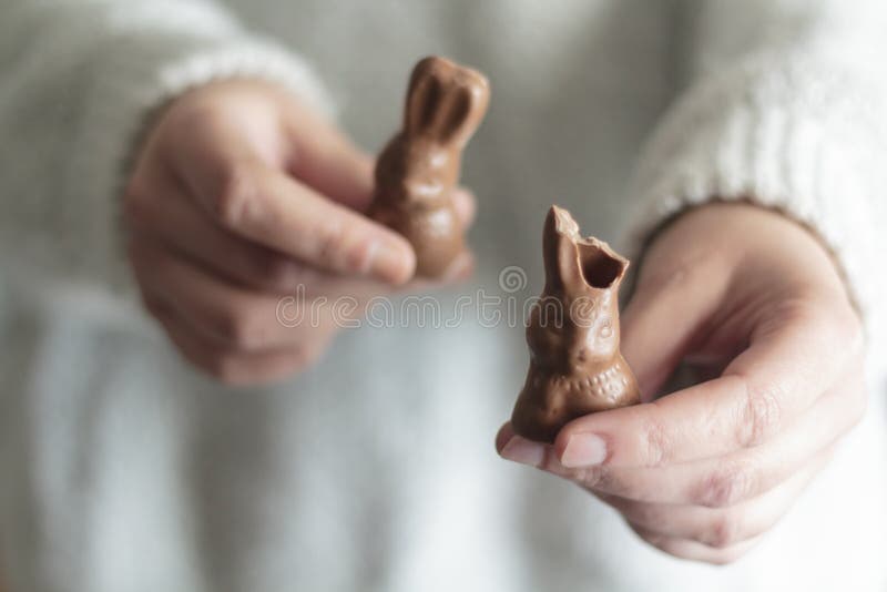 Chocolate Bunny Missing Ear Stock Photos Free & RoyaltyFree Stock