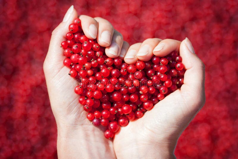 Woman hands, holding red currants in the shape of heart