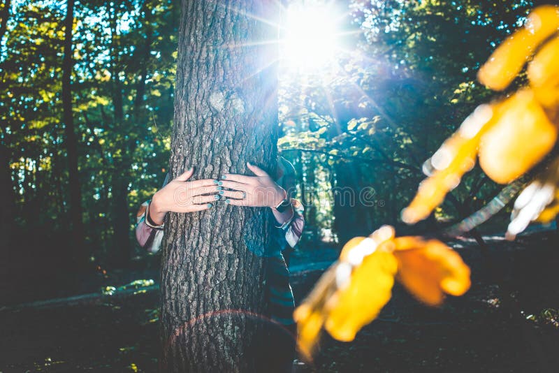 woman hands hugging a tree - fight climate change, save planet earth