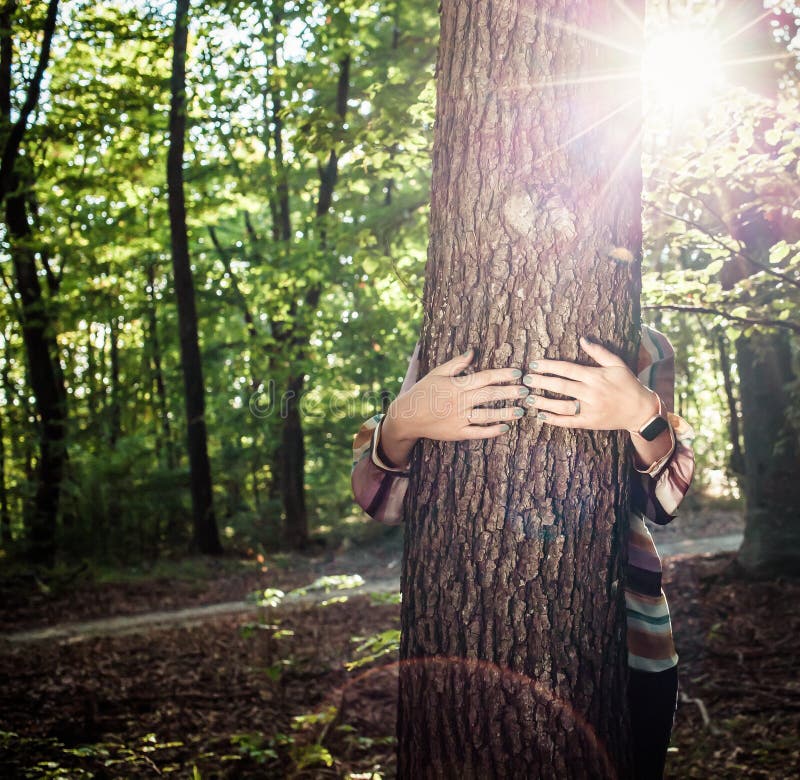 woman hands hugging a tree - fight climate change, save planet earth
