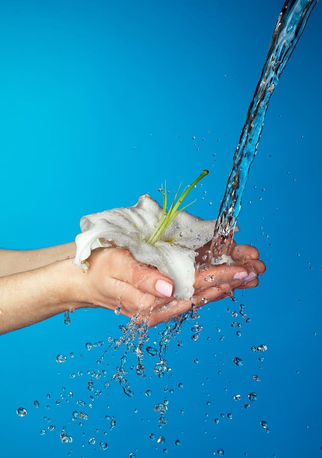 Woman hands with lily and stream of water.