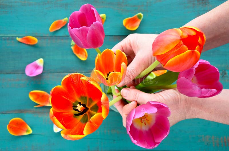 Woman hands organizing and assorting Tulip flowers bouque