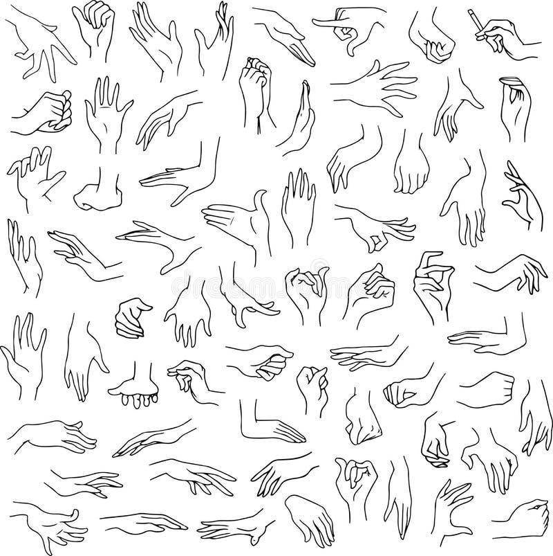 Woman Hands Pack Lineart stock vector. Illustration of clip - 57784175 Woman Hands Pack Lineart stock vector. Illustration of clip - 57784175