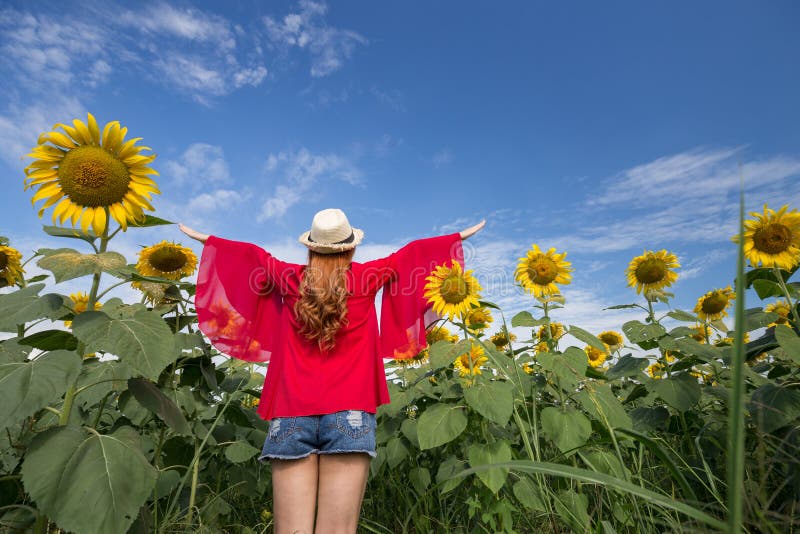 Woman Happy and Enjoy in Sunflower Field Stock Photo - Image of beauty ...