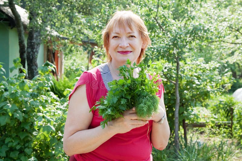 Woman with Harvested Dill and Parsley Stock Photo Image of