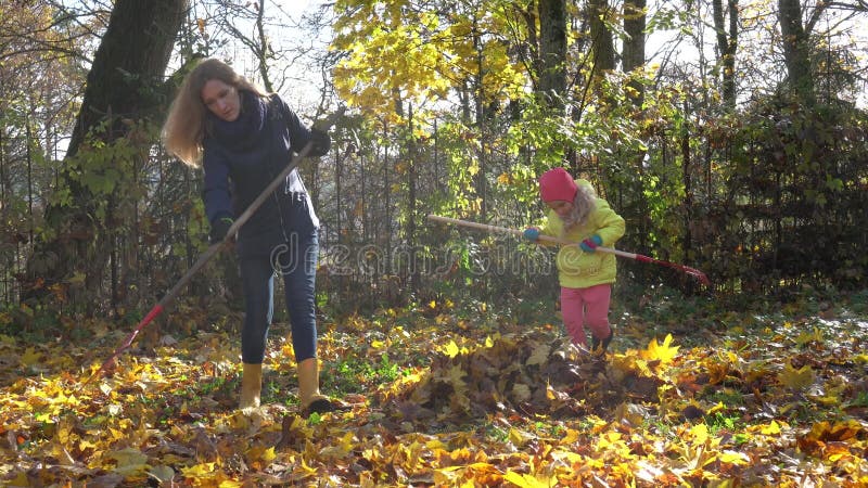 Woman and her girl daughter raking leaves in yard. Little child mother helper