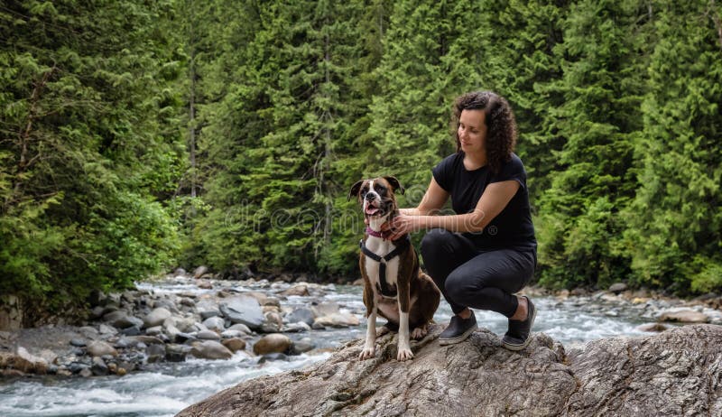 Woman hiking with Boxer Dog in the Canadian Nature. Caucasian Adult Woman hiking with Boxer Dog in the Canadian Nature. Golden Ears Provincial Park, Maple Ridge stock photos