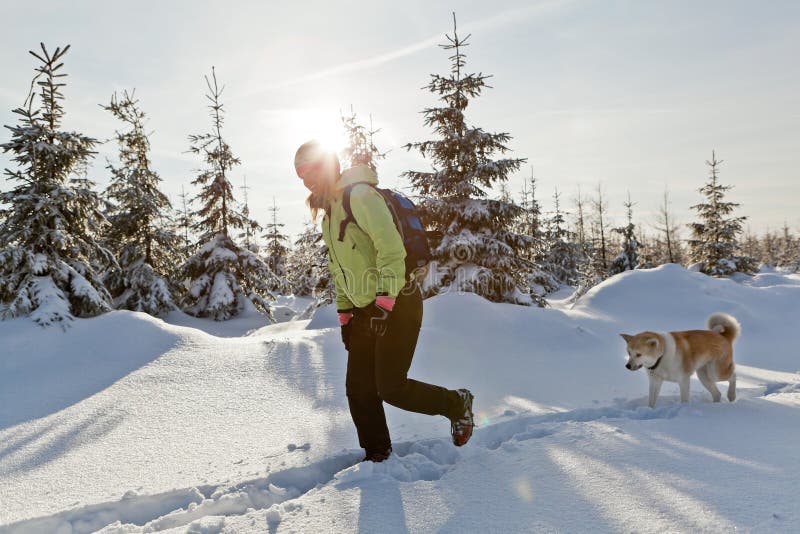 Woman hiking with dog in winter stock photography