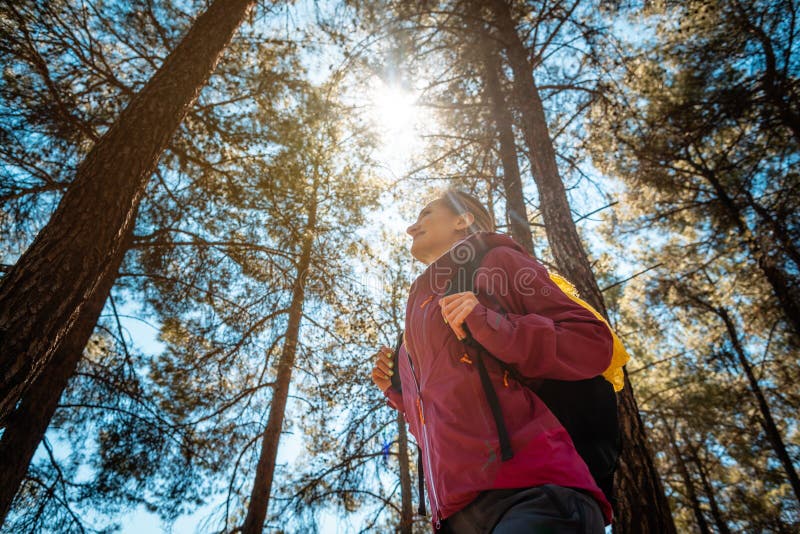 Woman hiking in a southern forest amidst tall pine trees