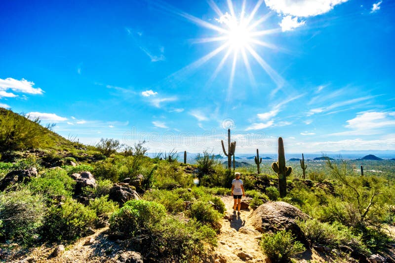 Woman hiking under bright sun through the semi desert landscape of Usery Mountain Regional Park