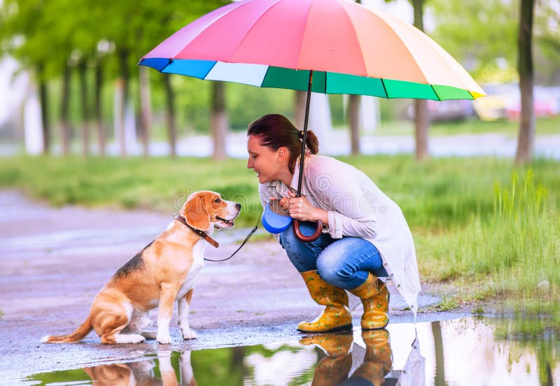 Woman with his beagle dog sitting ander big bright umbrella