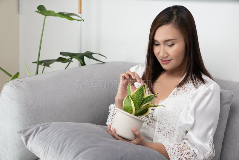 Woman holding air purifier tree in white pot.