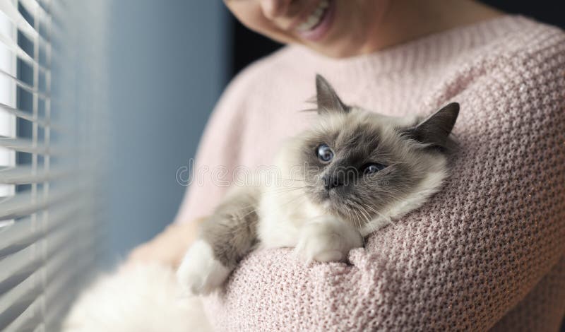 Woman holding her beautiful cat stock photo