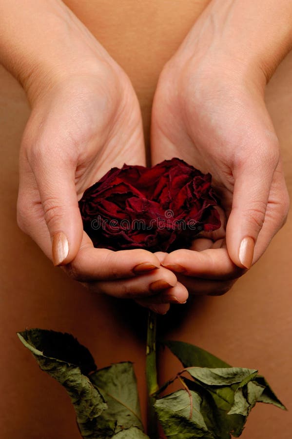 Woman holding a withered red rose