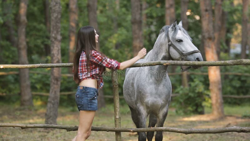 Woman and Horse. Casual Style Stock Video - Video of activity, beauty:  79703637