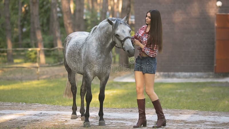 enlace Cielo Comienzo Woman and Horse. Casual Style Stock Footage - Video of girl, autumn:  79704170