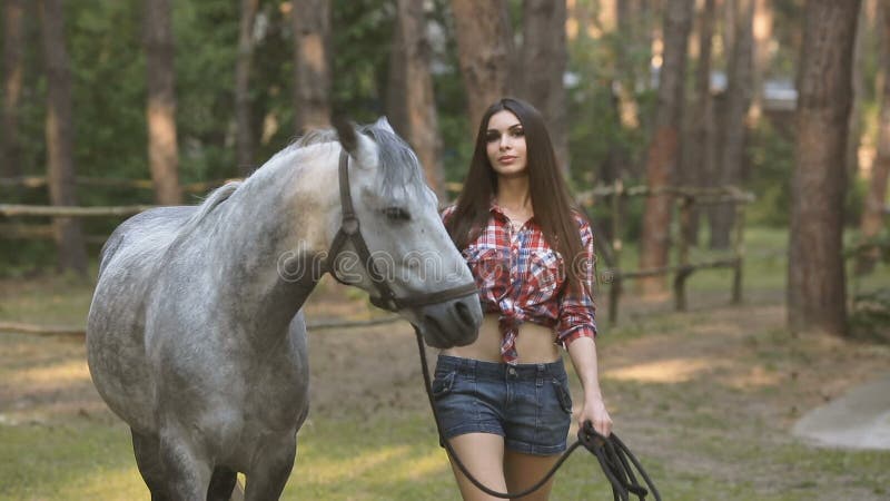 Woman and Horse. Casual Style Stock Video - Video of activity, beauty:  79703637