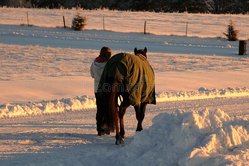 Woman horse and snow