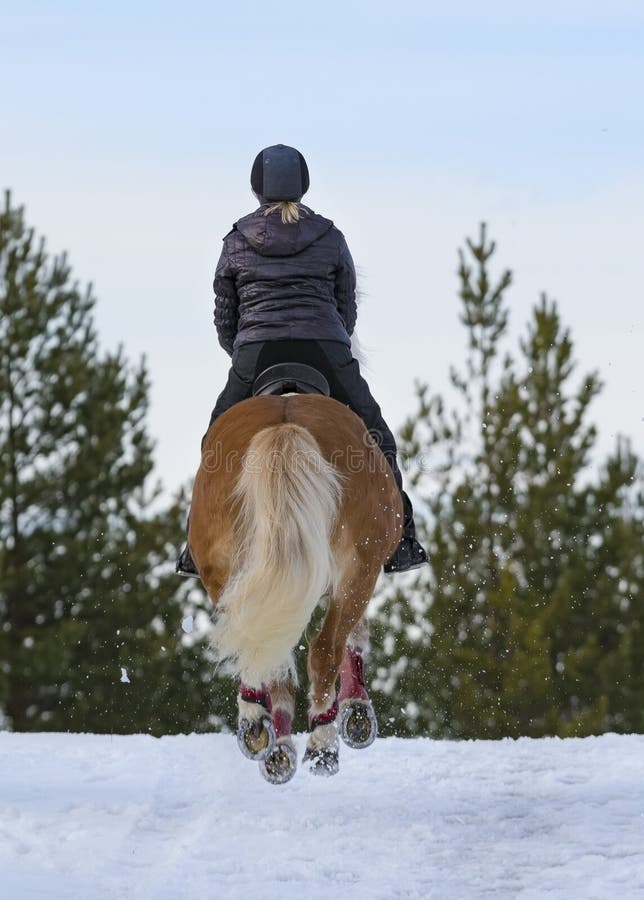 Woman Horseback Riding in Winter Stock Image Image of cheerful, field