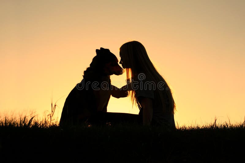 Woman Hugging Dog Silhouette royalty free stock image