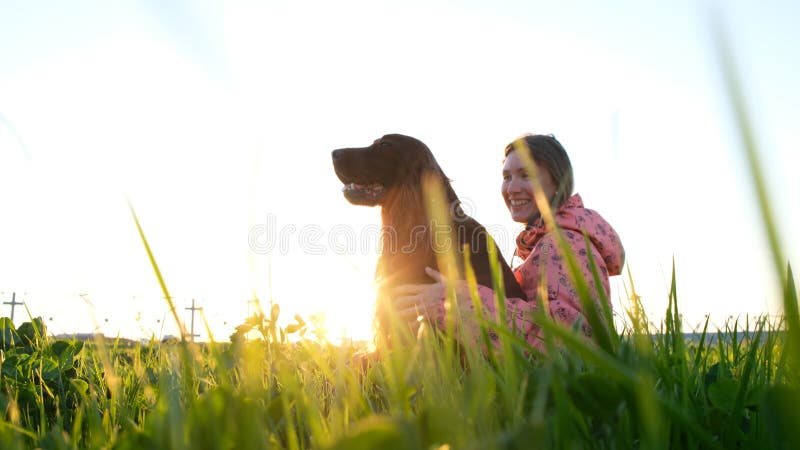 Woman hugging the dog at sunset and laughing, young girl with pet sitting on grass and resting in nature