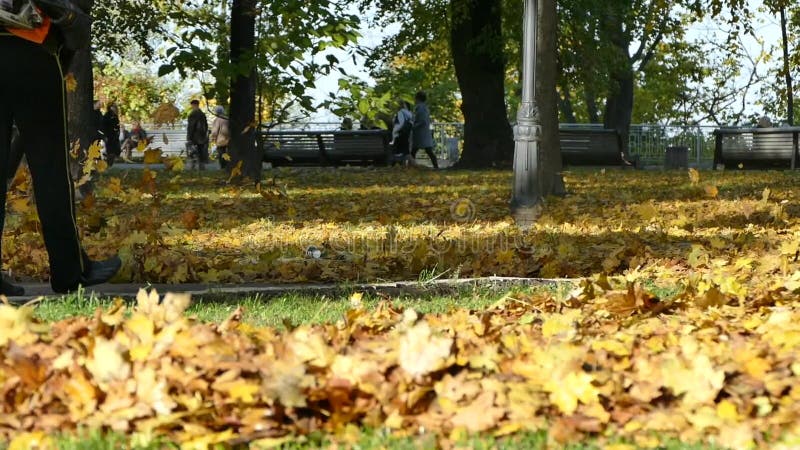 Woman With Leaf Blower In Kiev