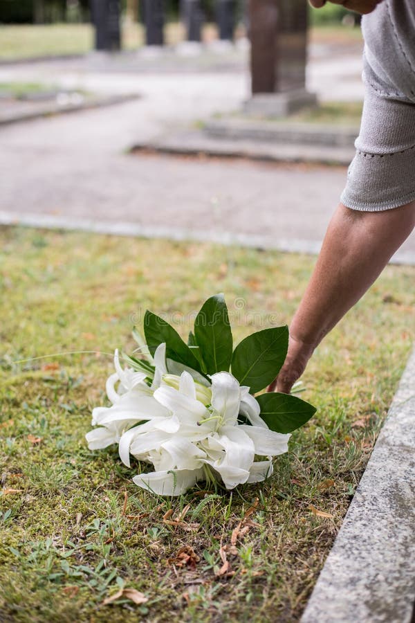 Flower on the grave stock image. Image of remembrance 34751773