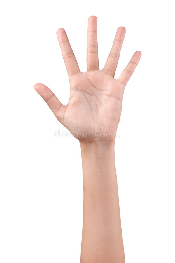 Woman Left Hand Showing Five Fingers Stock Photos - Free & Royalty