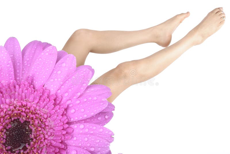 Woman legs and feet with flower over white