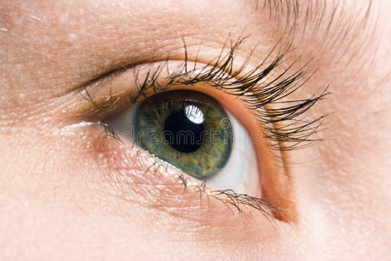 Woman macro eye royalty free stock image