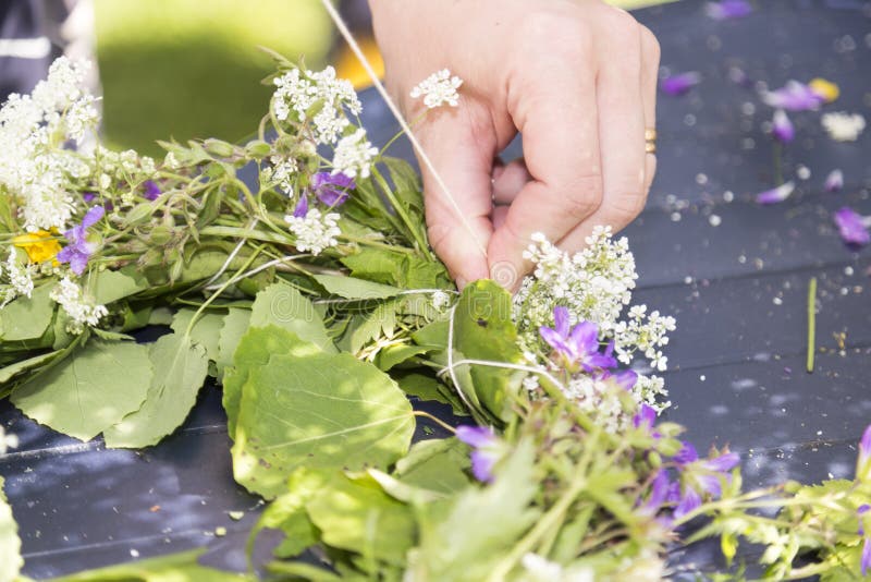 Woman Making a Swedish Midsummer Head Creation royalty free stock images Woman Making a Swedish Midsummer Head Creation royalty free stock images