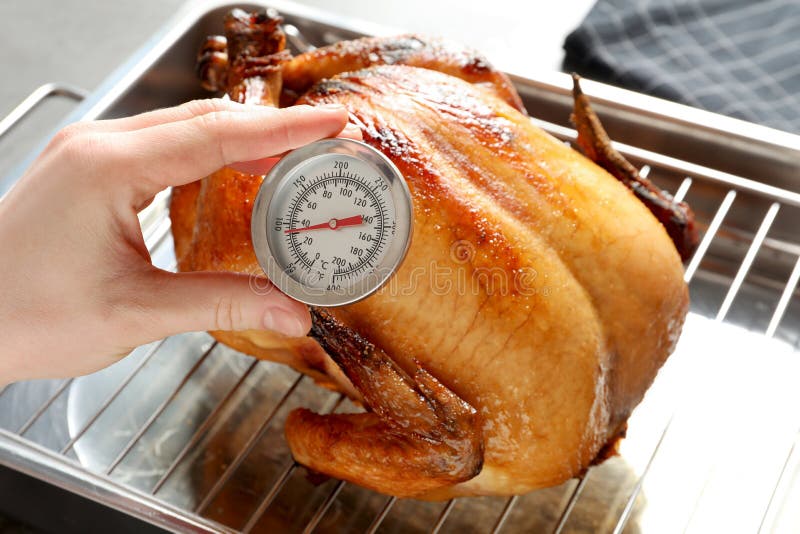 Woman Measuring Temperature of Whole Roasted Turkey with Meat