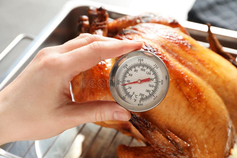 9+ Thousand Cooking Thermometer Royalty-Free Images, Stock Photos &  Pictures