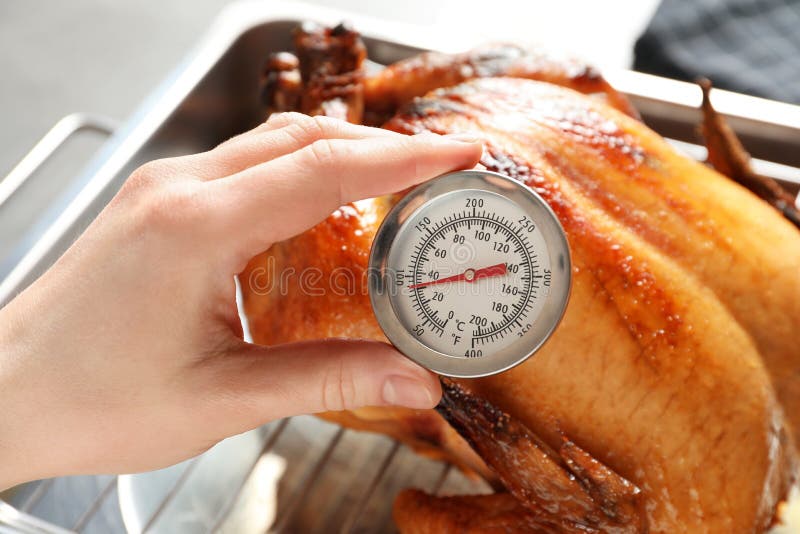 Woman measuring temperature of whole roasted turkey with meat thermometer royalty free stock image Woman measuring temperature of whole roasted turkey with meat thermometer royalty free stock image
