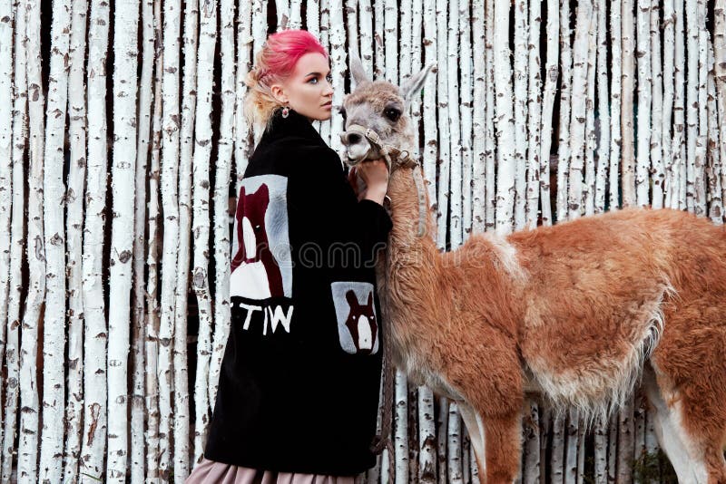 Woman near Lama in the autumn on the background of birch trees. Creative bright pink makeup on the girl face, hair coloring