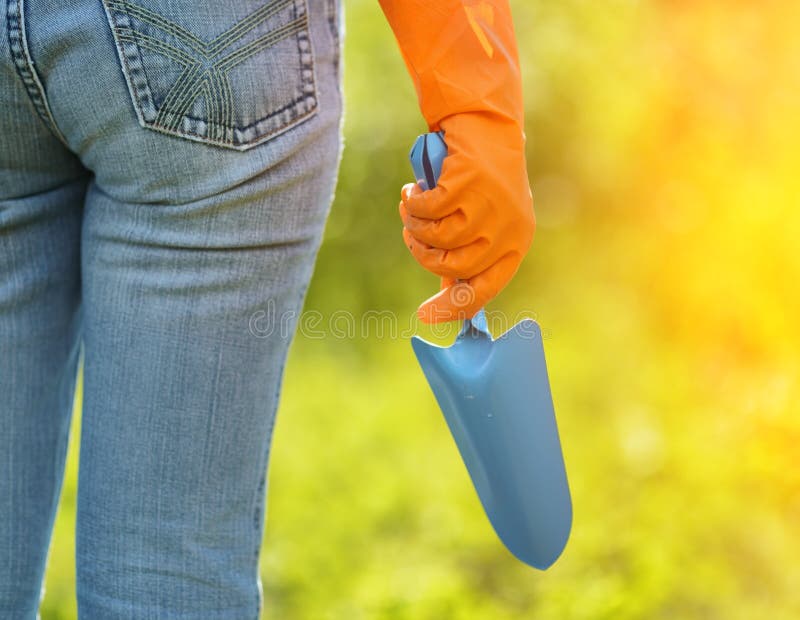 Woman in Orange Gloves Working in the Garden Stock Image Image of