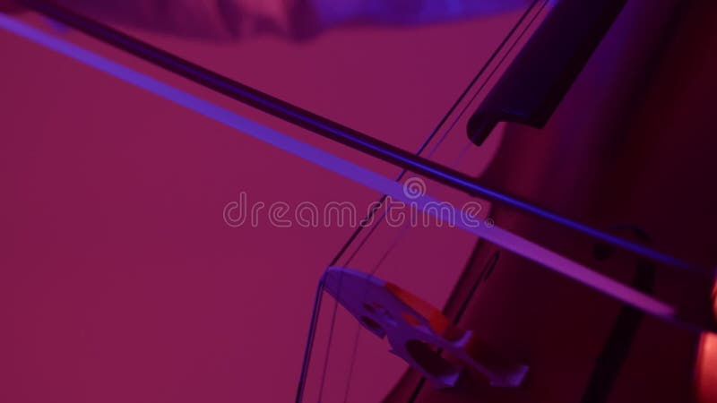 A woman in the orchestra plays the cello. a dark hall with purple light. the cellist leads the bow along the string stock video footage