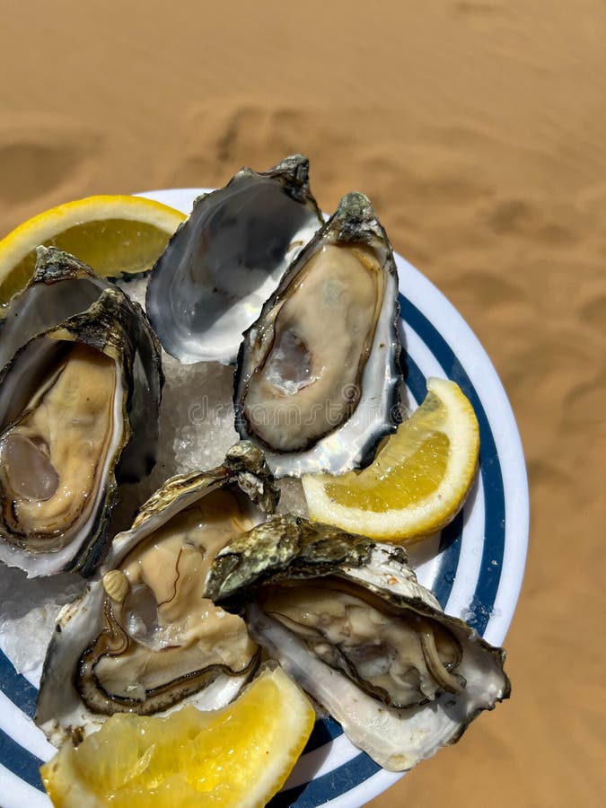 namibia africa oysters namibia africa oysters